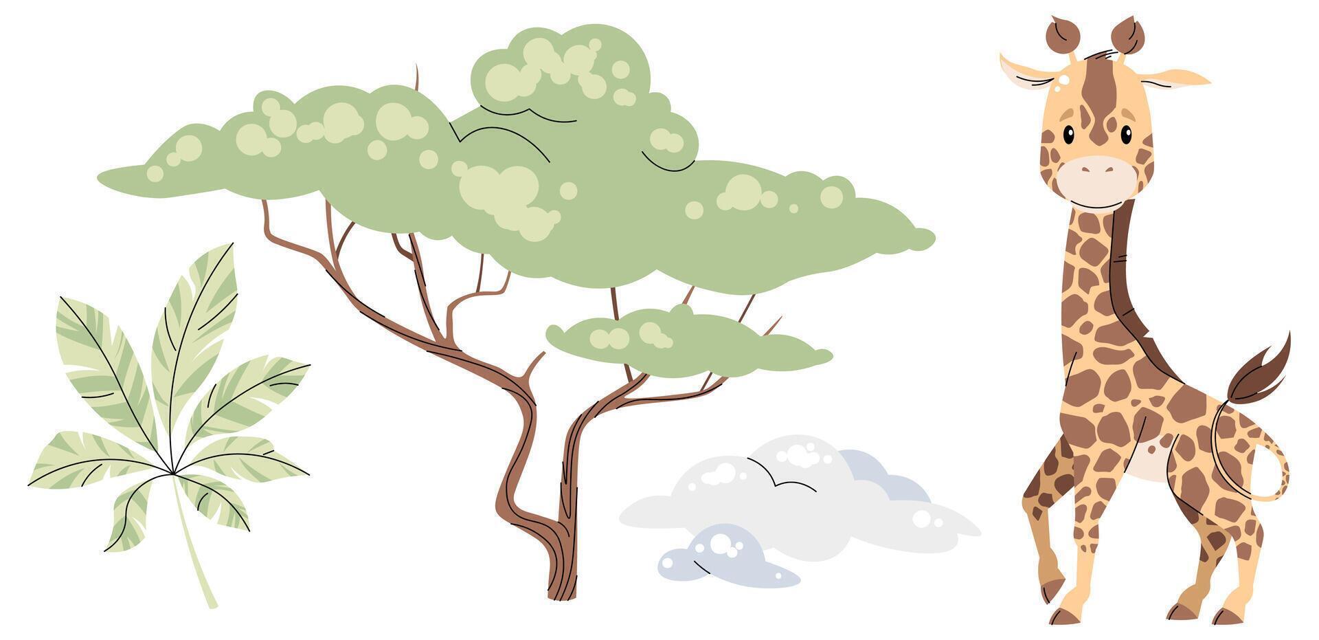 Set of African animals and plants on white background. Illustration of giraffe, acacia in flat cartoon style. Safari collection. clipart for clothes, fabric, greeting cards, stickers, etc. vector