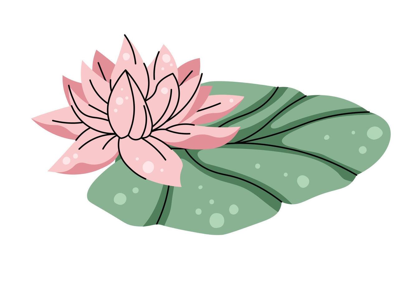 Water lily on a white background. Cartoon illustration in flat style. clipart for clothes, fabric, greeting cards, stickers, etc. vector