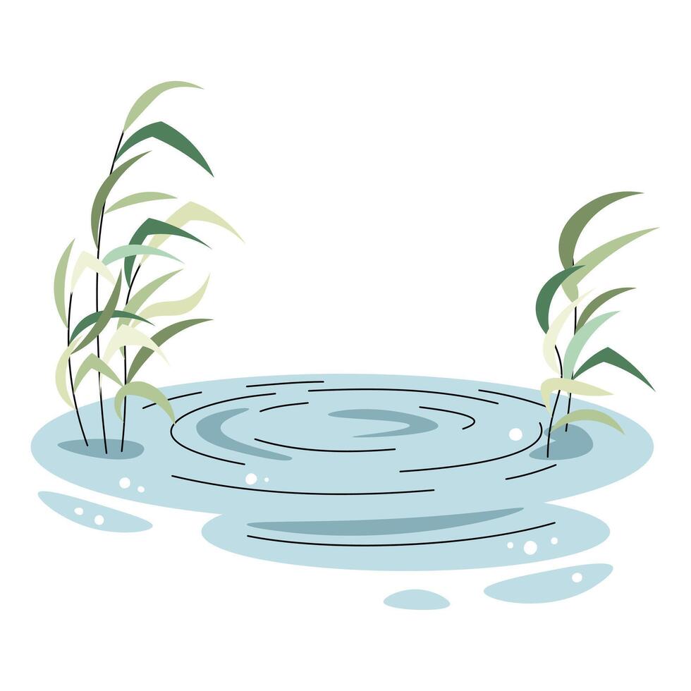 Reeds and pond on white background. Landscape of water body with vegetation in flat cartoon style. Children's clipart for design of clothes, wallpapers, greeting cards etc vector