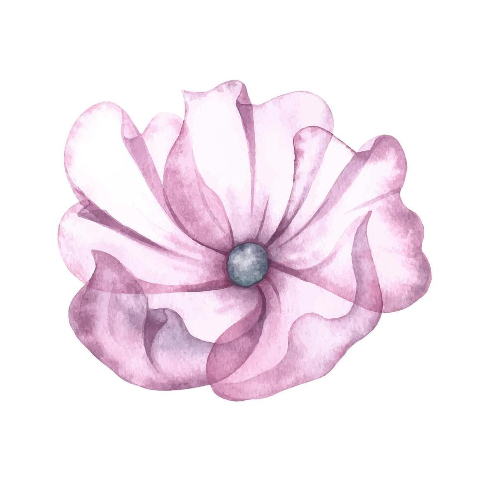 A delicate pink flower. The transparent petals of the flower. watercolor illustration. For the design of invitation and greeting wedding cards in watercolor style. vector