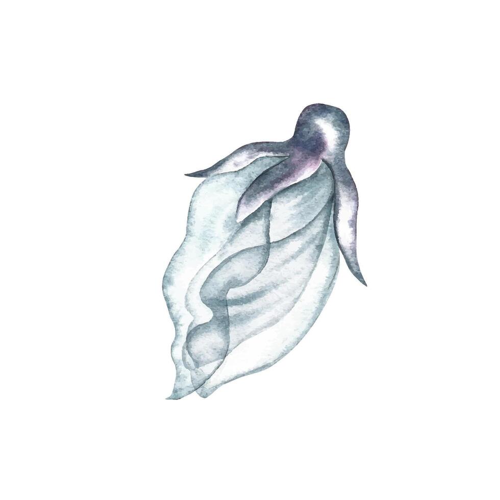 A delicate white flower. The transparent petals of the flower are made in watercolor. watercolor illustration. For the design of invitation and greeting wedding cards in watercolor style. vector
