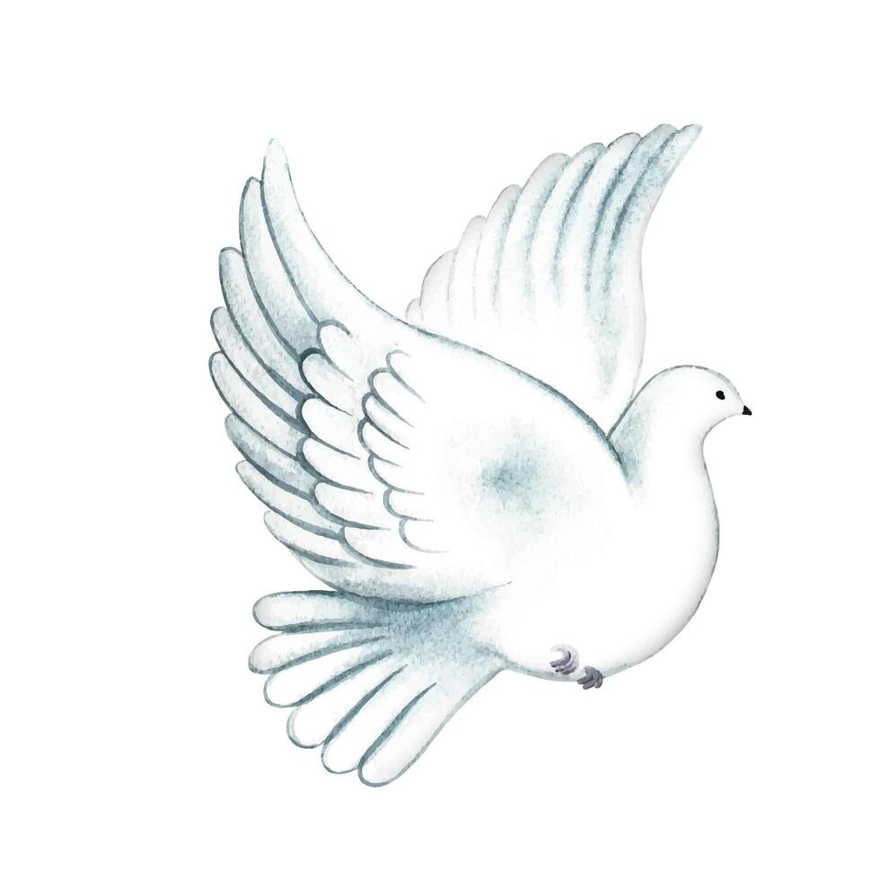 A white flying pigeon. watercolor illustration. A symbol of peace. An element of the design of banners and flyers, invitations and greeting cards, posters and prints. vector