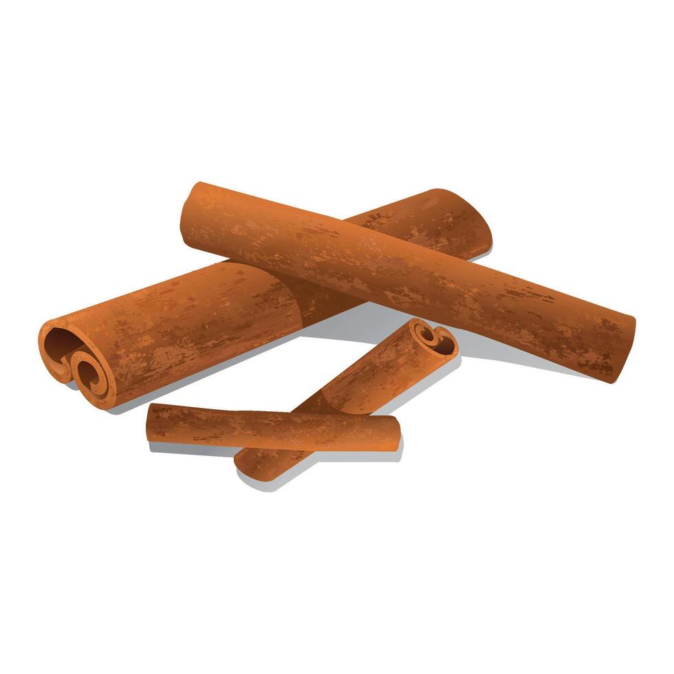 Appetizing cinnamon portion on a white background. vector