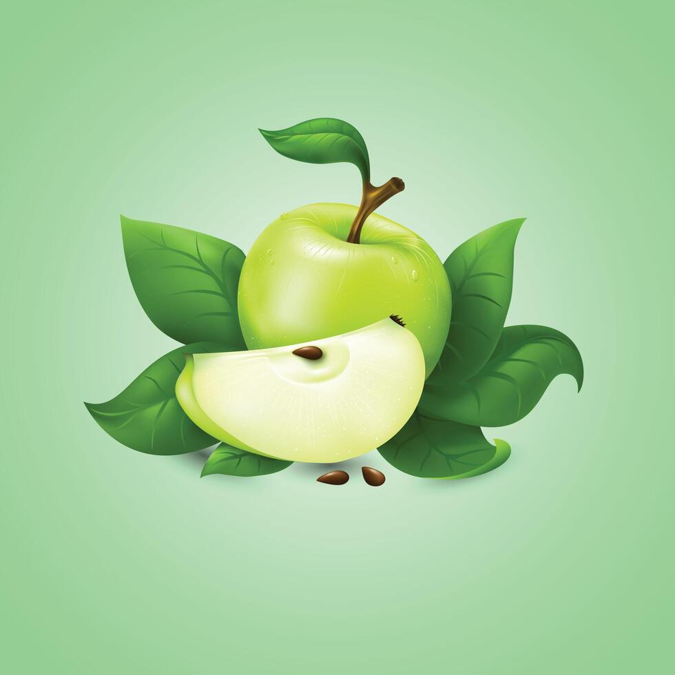 a green apple with an half apple with apple leaves vector