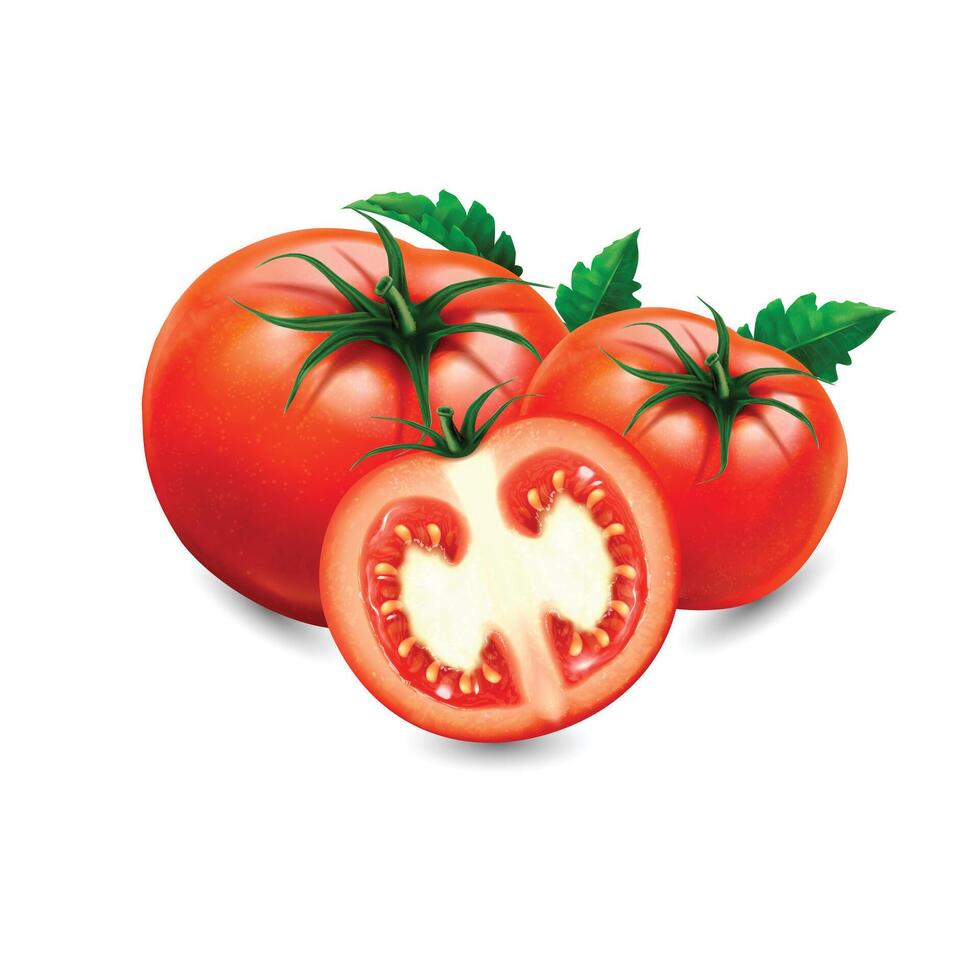 a tomato with a green leaf on white background. vector