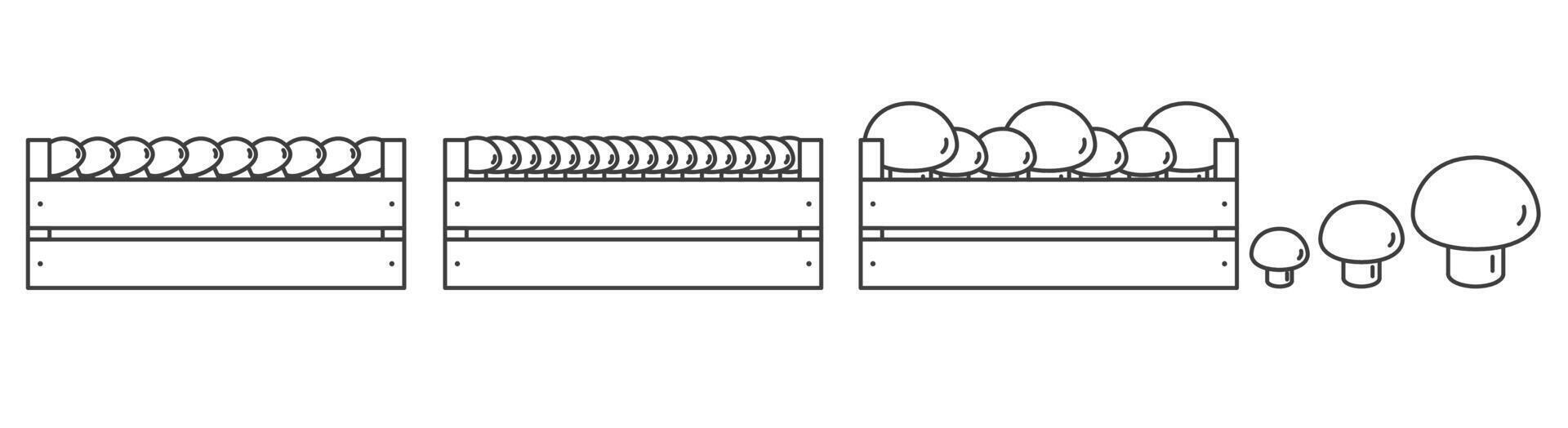 Champignon in wooden box icon outline. Vegetable in box. vector