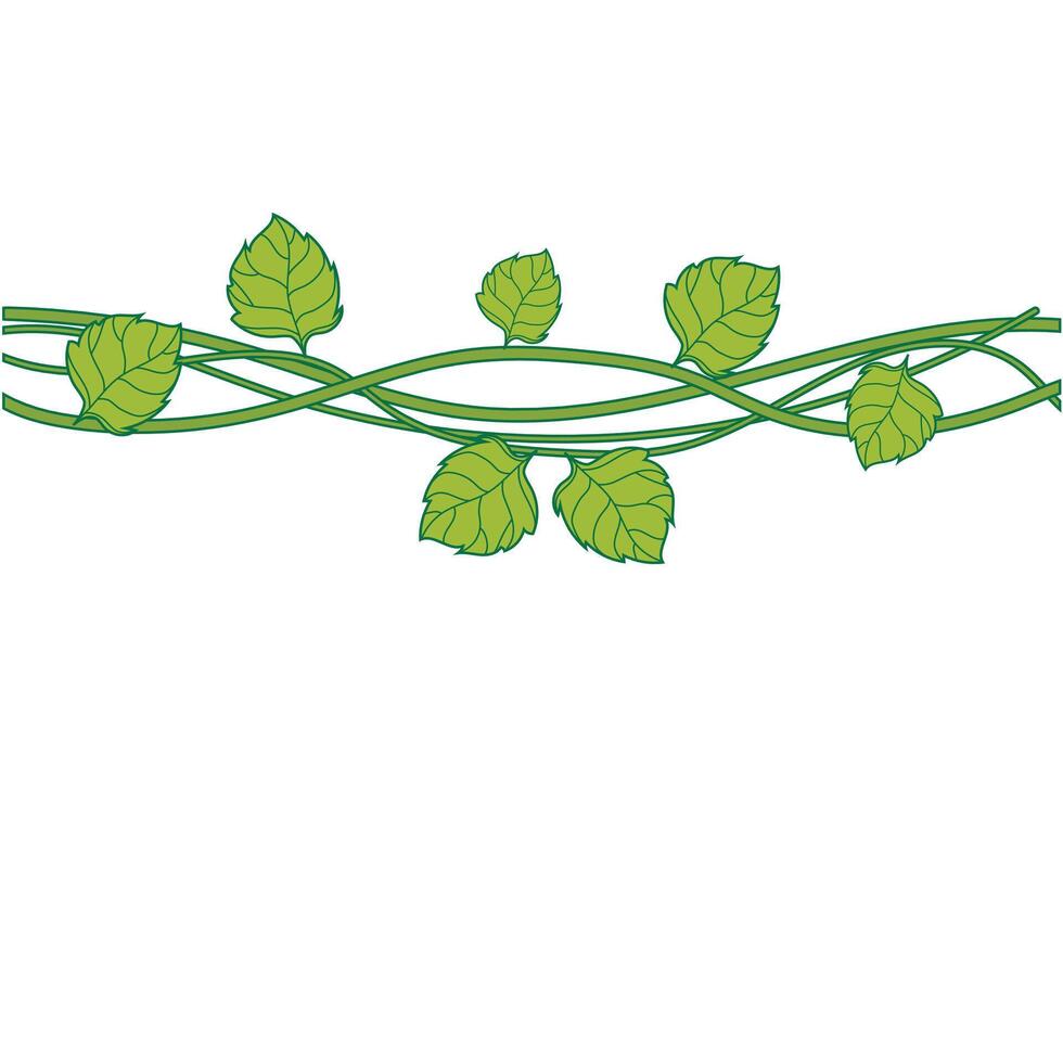 Wild dry liana, forest vines isolated on white background, illustration vector