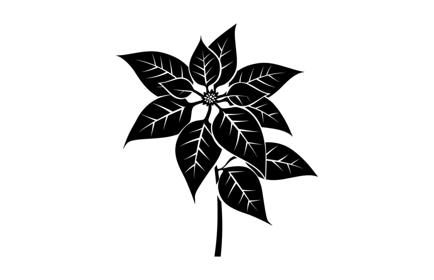 Poinsettia Flower Silhouette vector