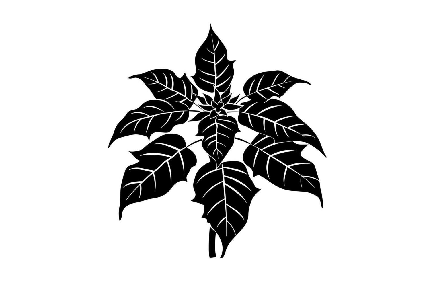 Poinsettia Flower Black Silhouette vector
