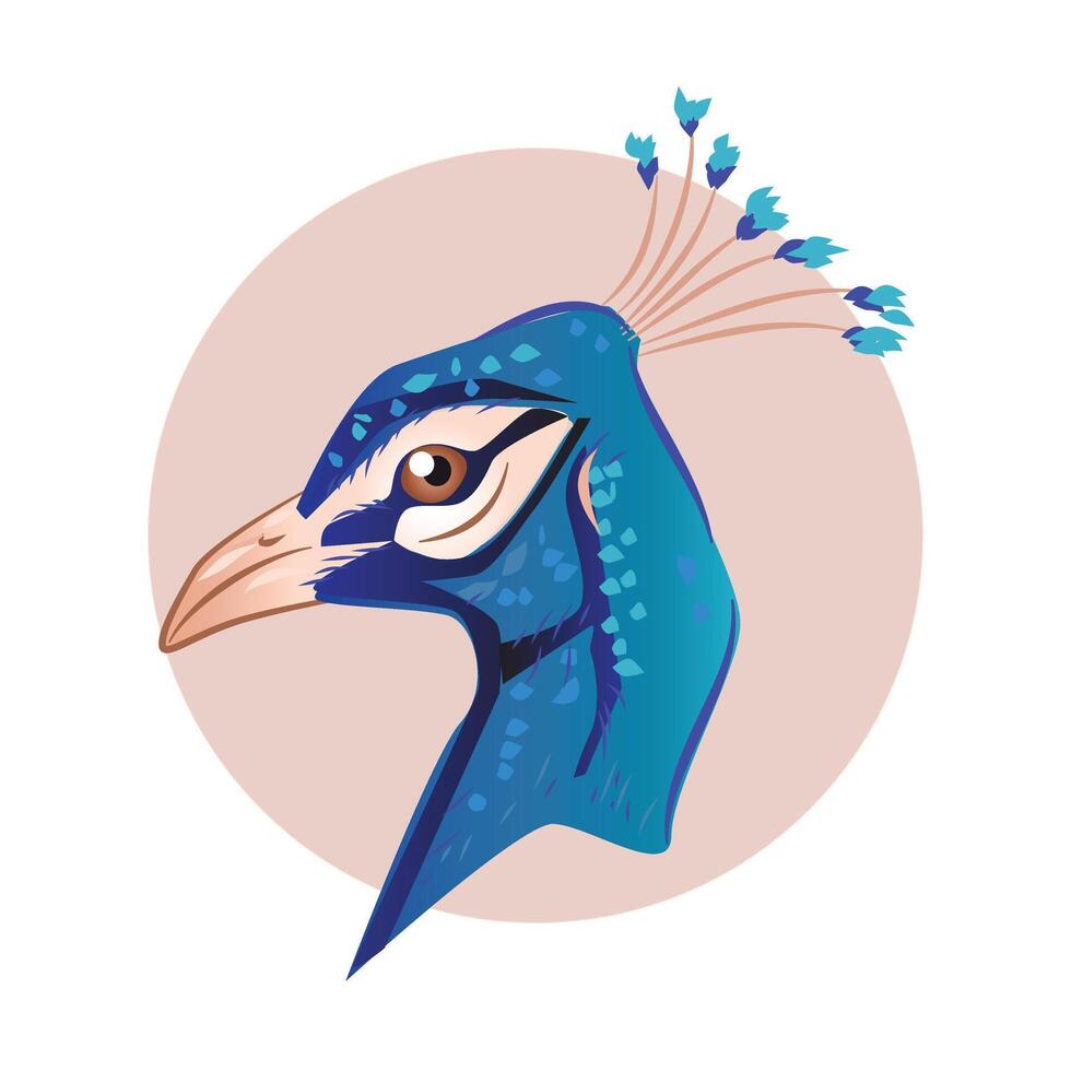 Peacock Head Mascot vector