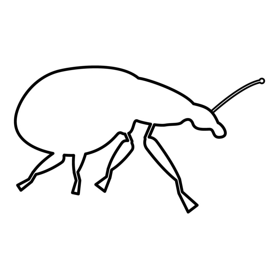 Weevil insect pest contour outline line icon black color illustration image thin flat style vector