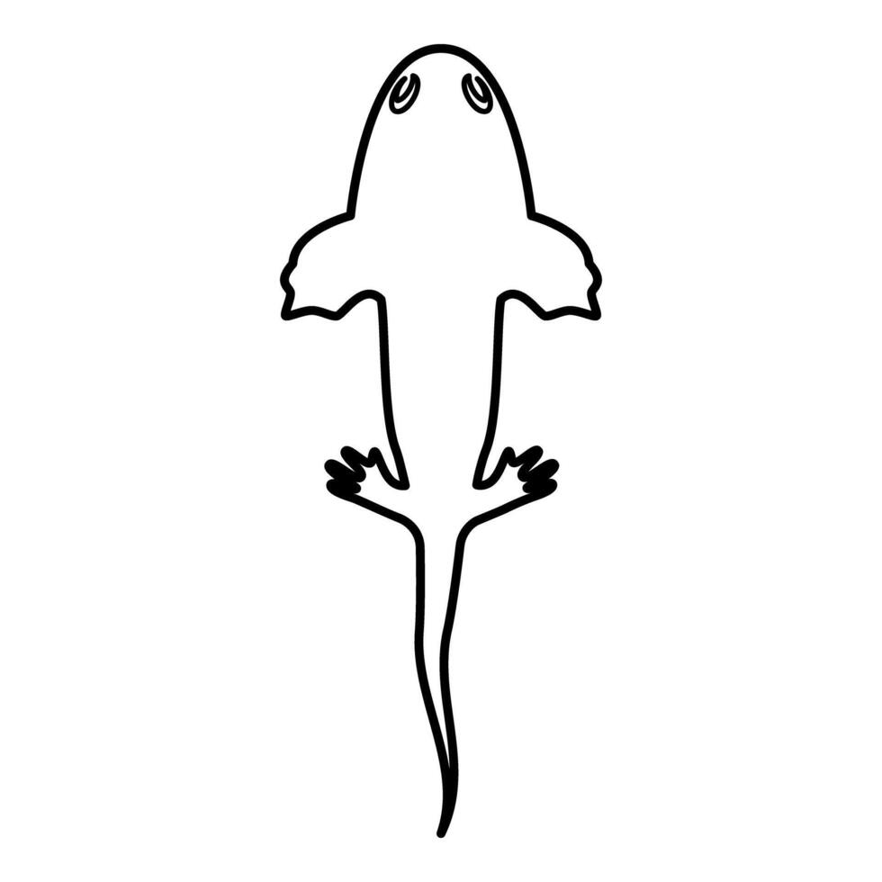 Axolotl ambystoma mexicanum overhead view contour outline line icon black color illustration image thin flat style vector