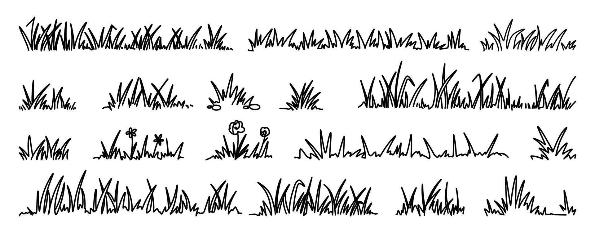 Doodle grass. Sketch natural field grass. Outline hand drawn wild grassy plants. Organic herb silhouette, patterns and blades. Springs garden herbal and grasses border, set vector