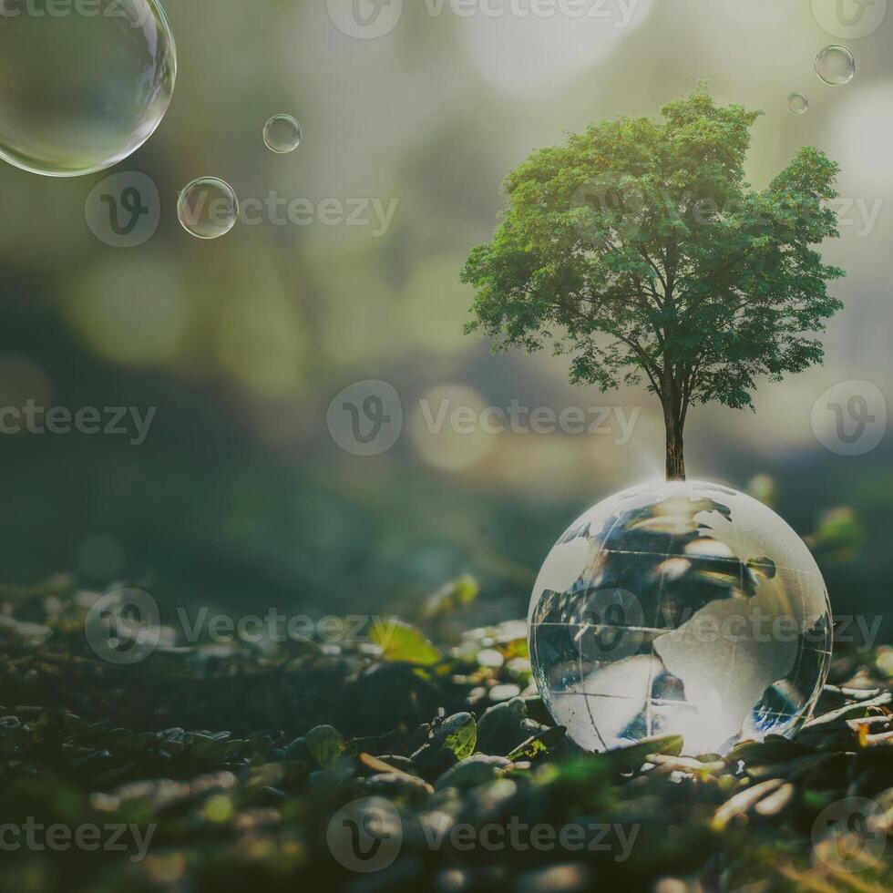 Forest abstract image background photo
