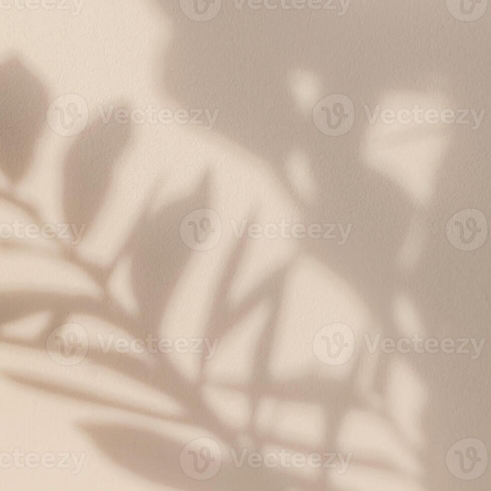 Shadow image background in the wall photo
