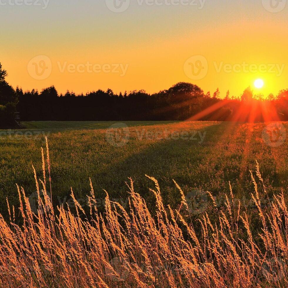 good morning vibes background with sun with sky photo