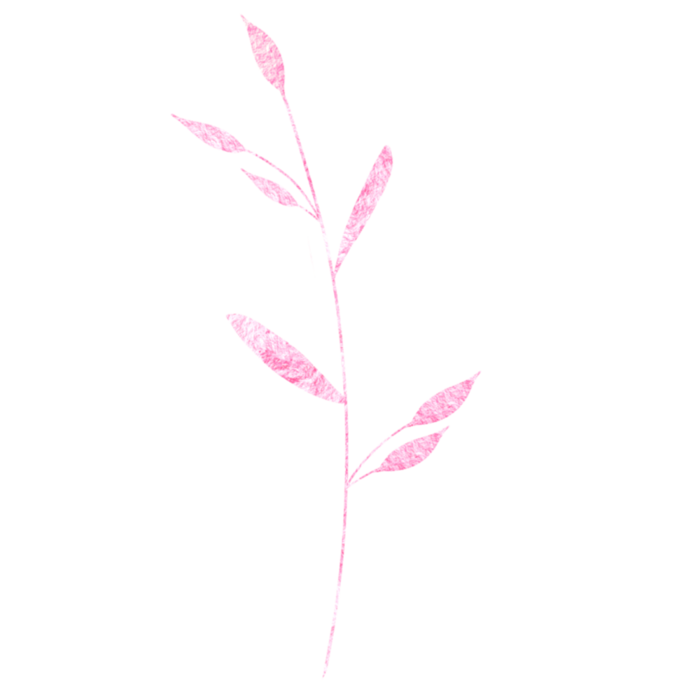 Pink Shimmer Branch with Leaves on a Transparent Background png