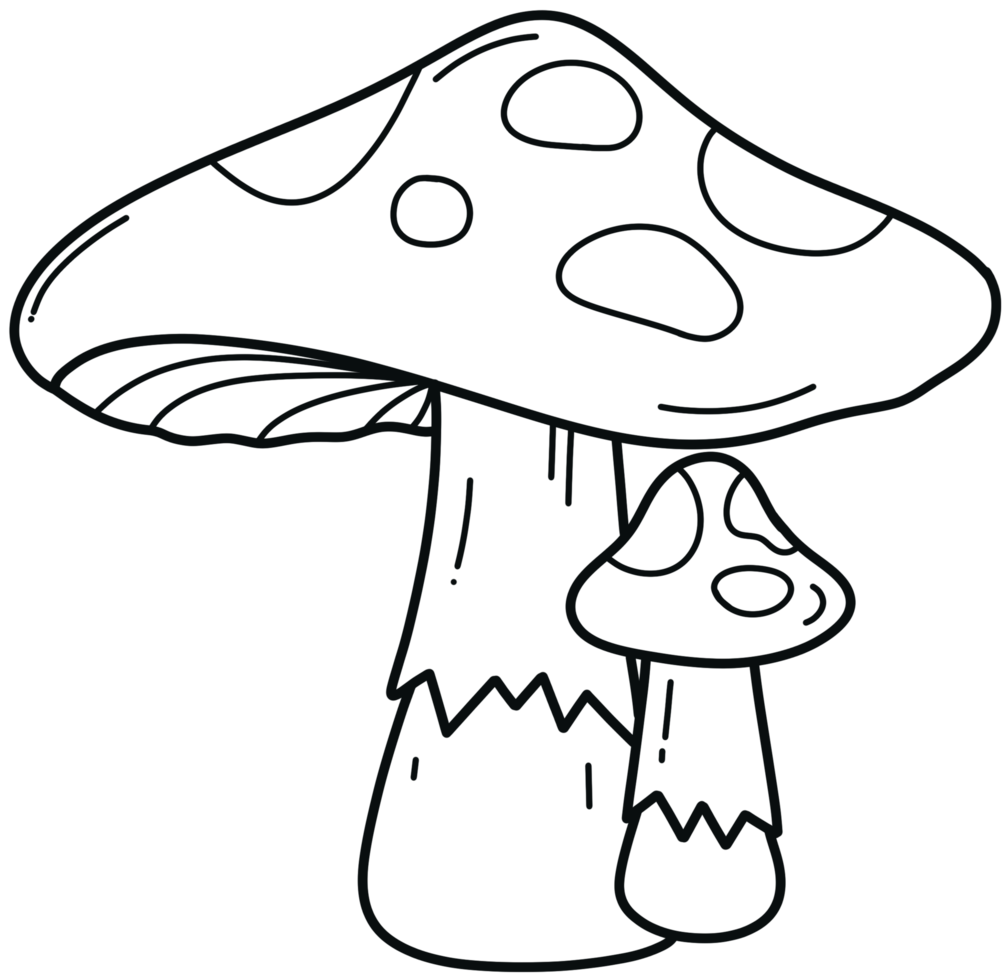 mushrooms doodle line in Fall illustration by hand drawn png