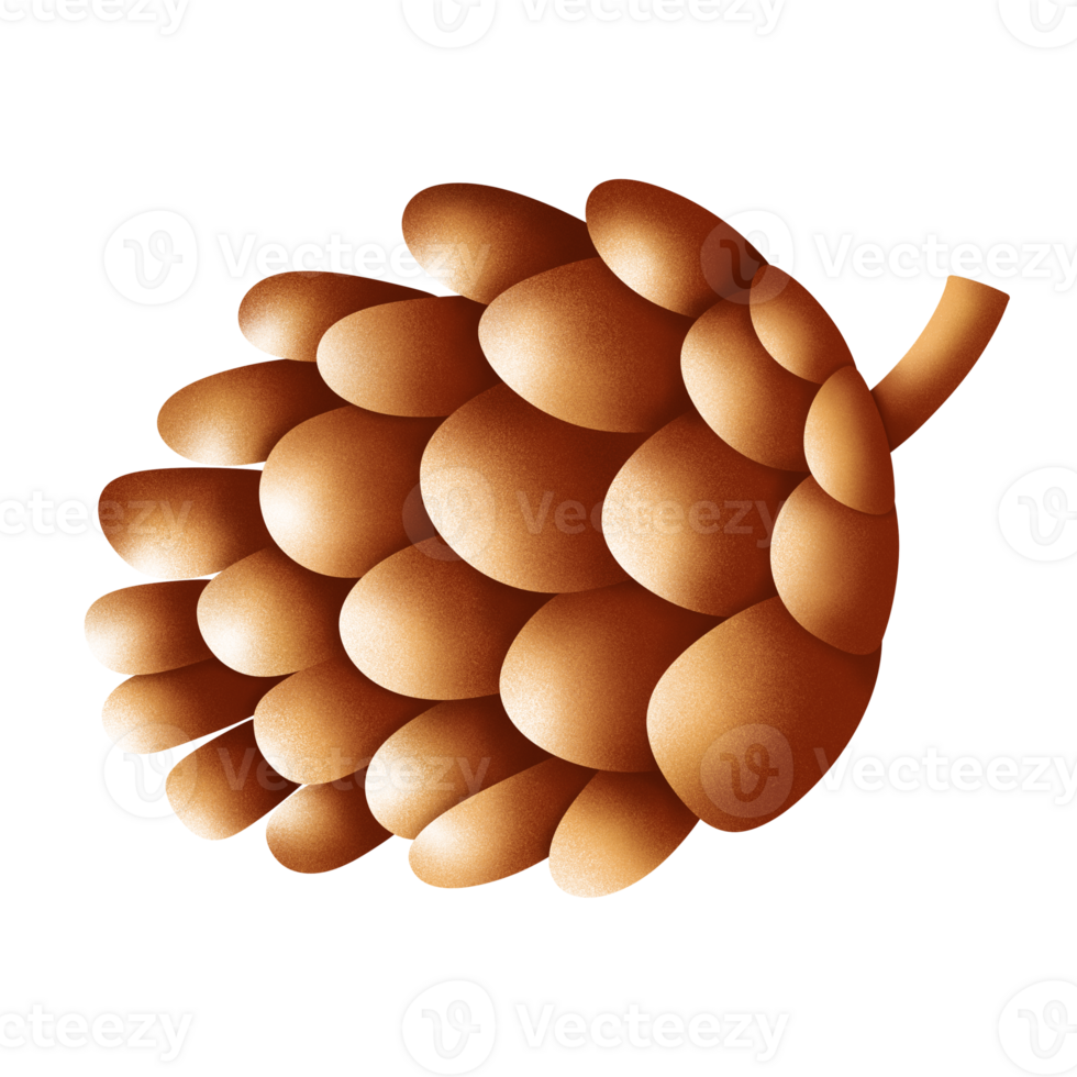 Pine cone illustration in Fall by hand drawn png