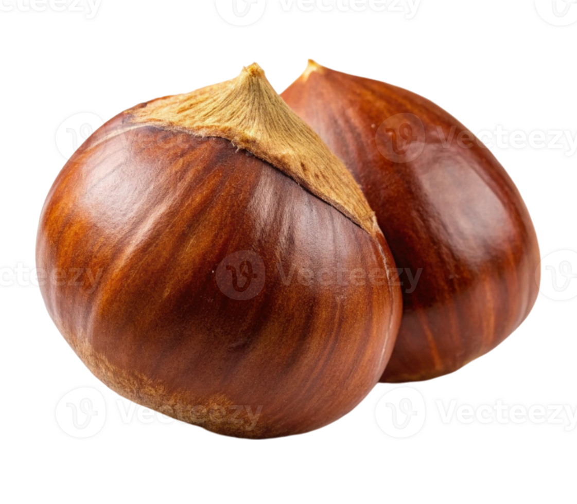 Two whole chestnuts showing their shells and tops png