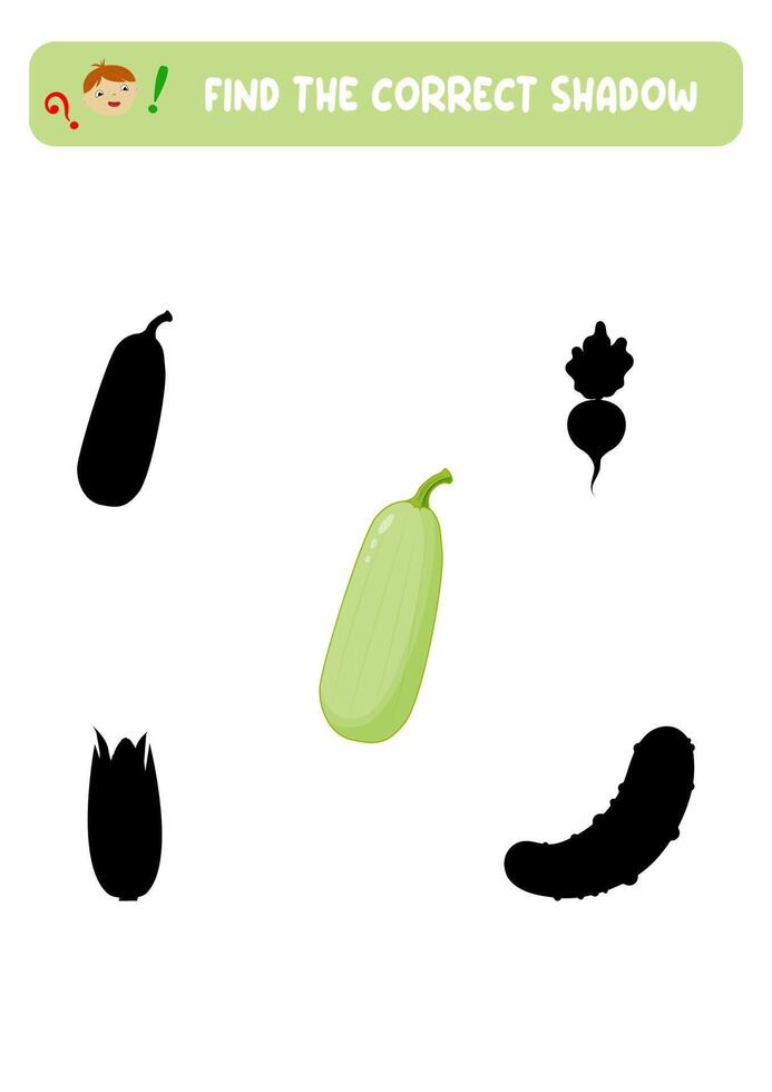 Find the correct shadow. Vegetarian Courgette. Teaching children. vector