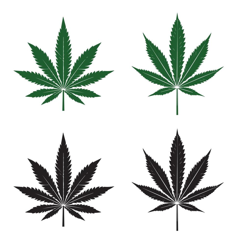 Set of cannabis leaf illustrations in green and black, isolated on white background. CBD Cannabidiol marijuana icon, medical herbs. For botanical and medicinal design vector
