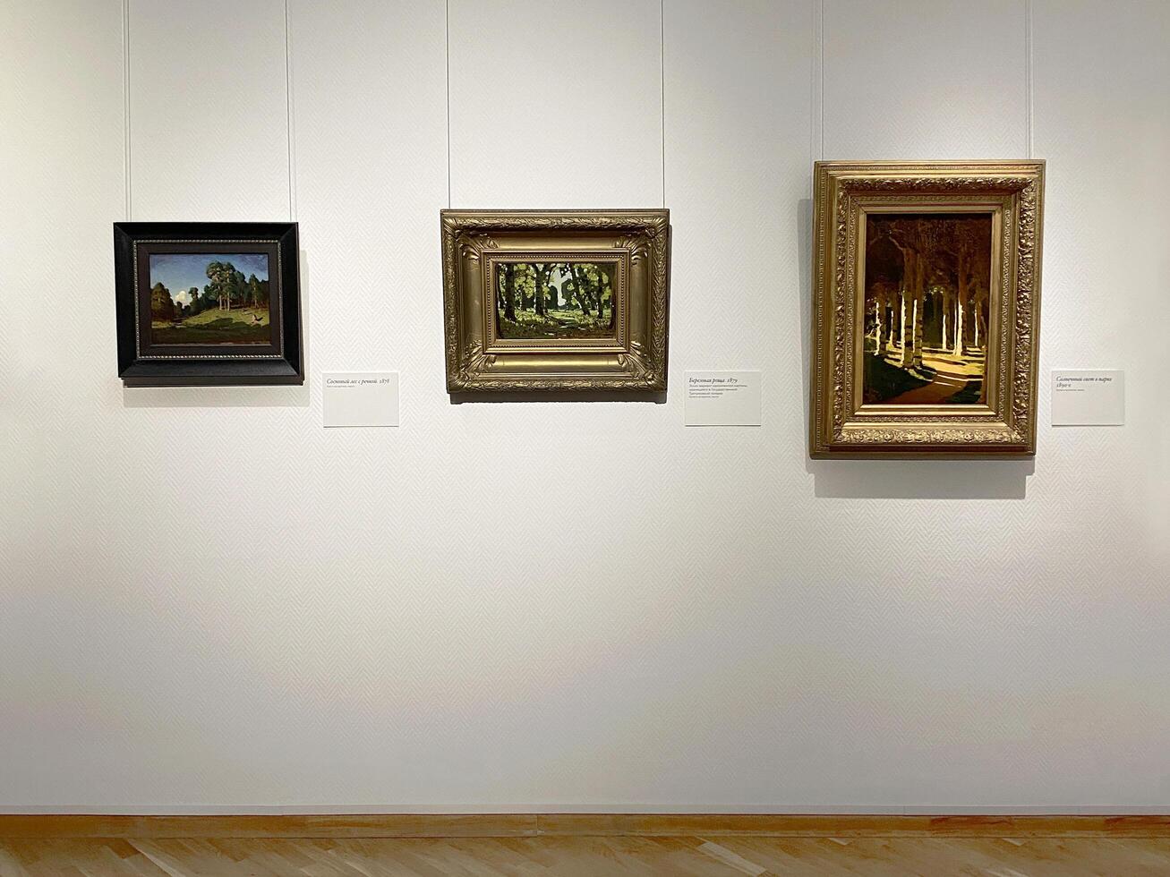 30.08.2024 Novosibirsk State Art Museum, exhibition ARKHIP KUINDZHI, hall with paintings photo