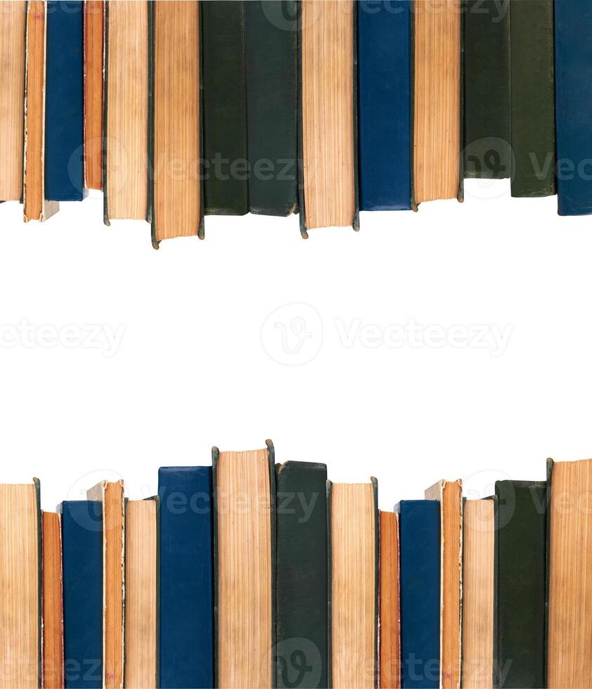 books in a row photo