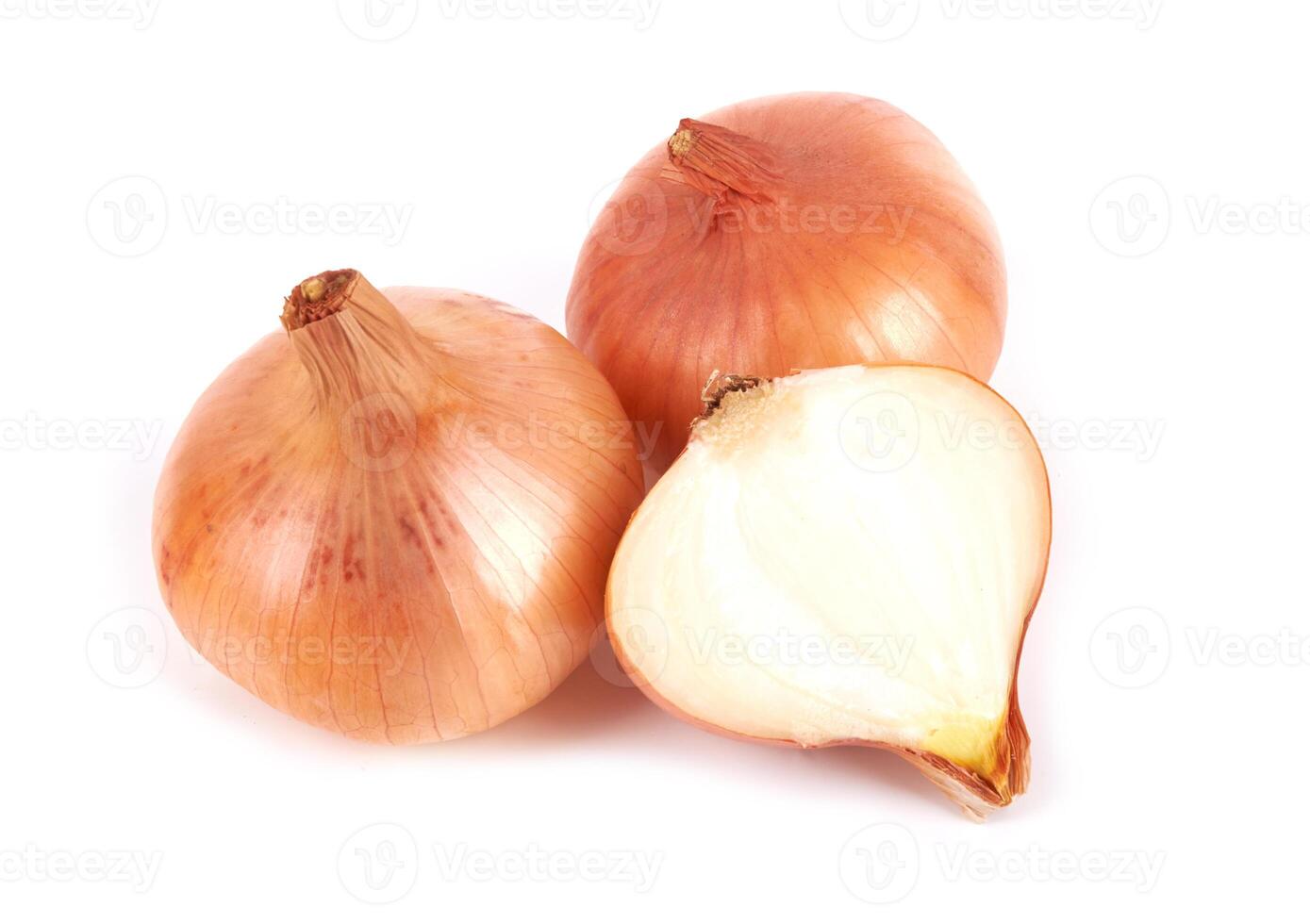 onion on white photo