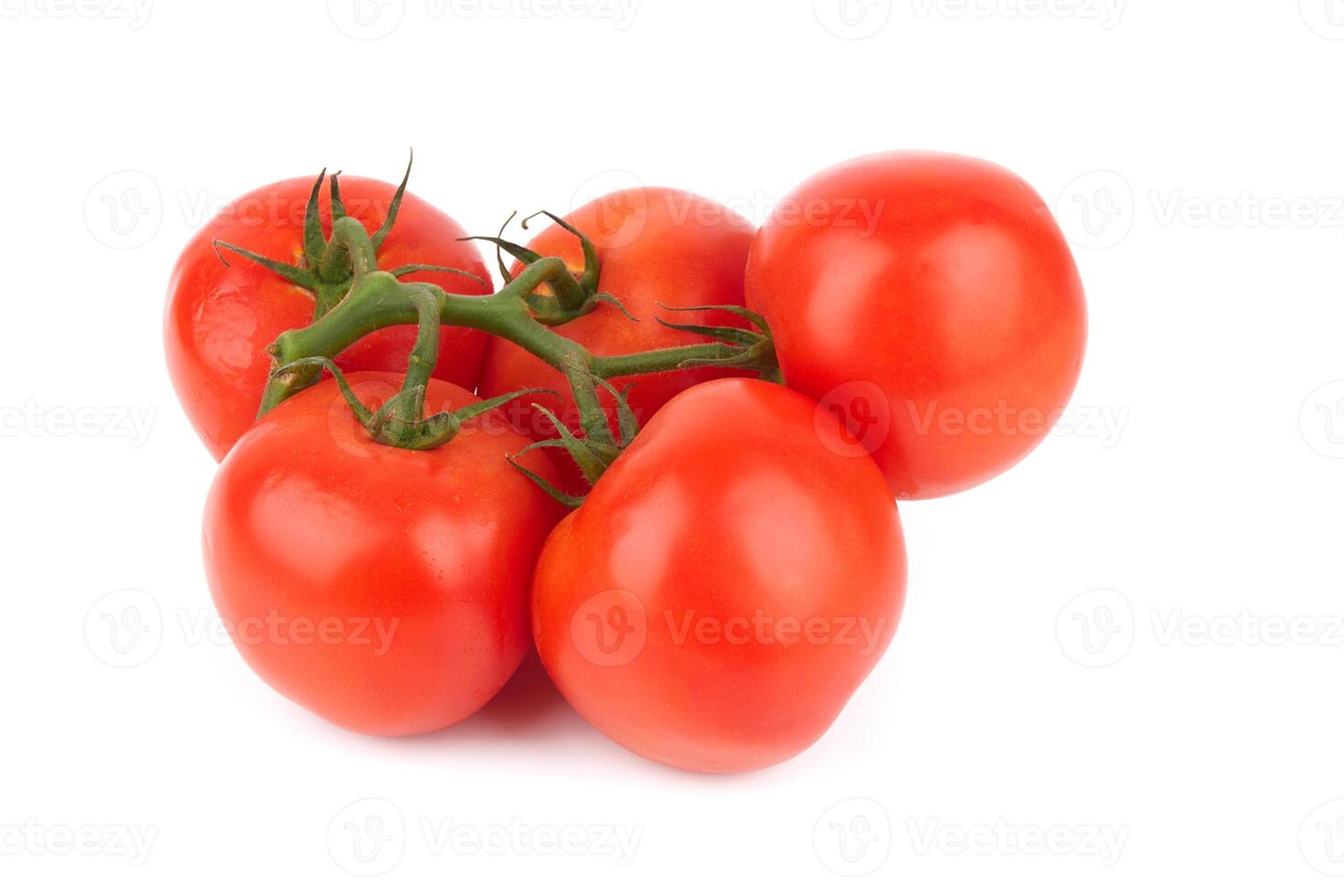 tomatoes on white photo