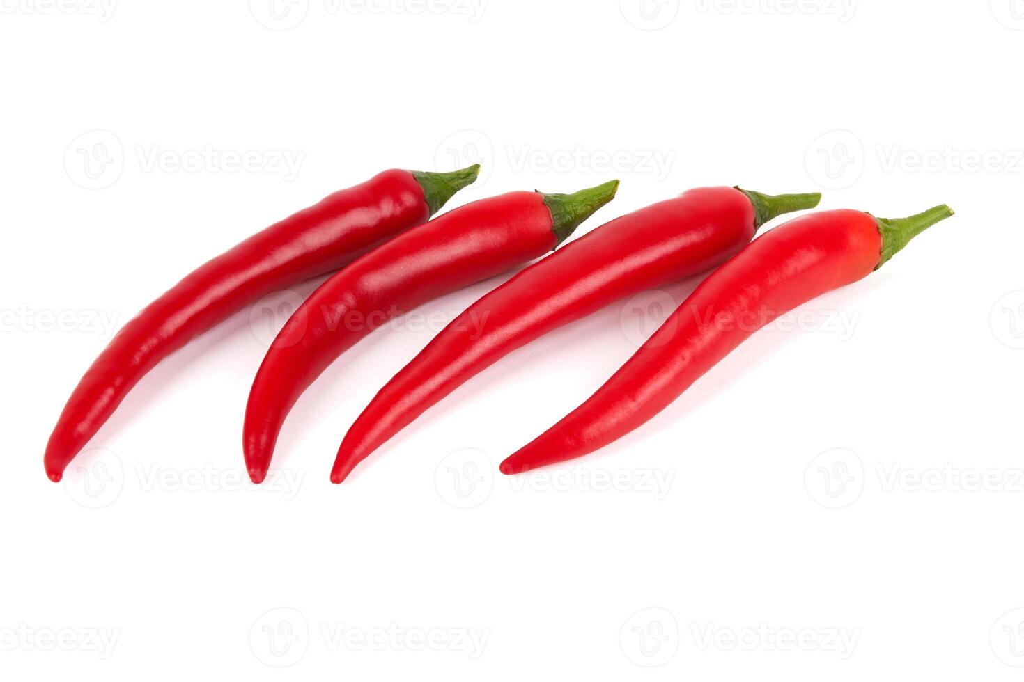 chili pepper on white photo