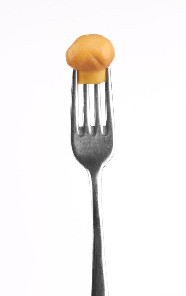 mushroom on a fork photo