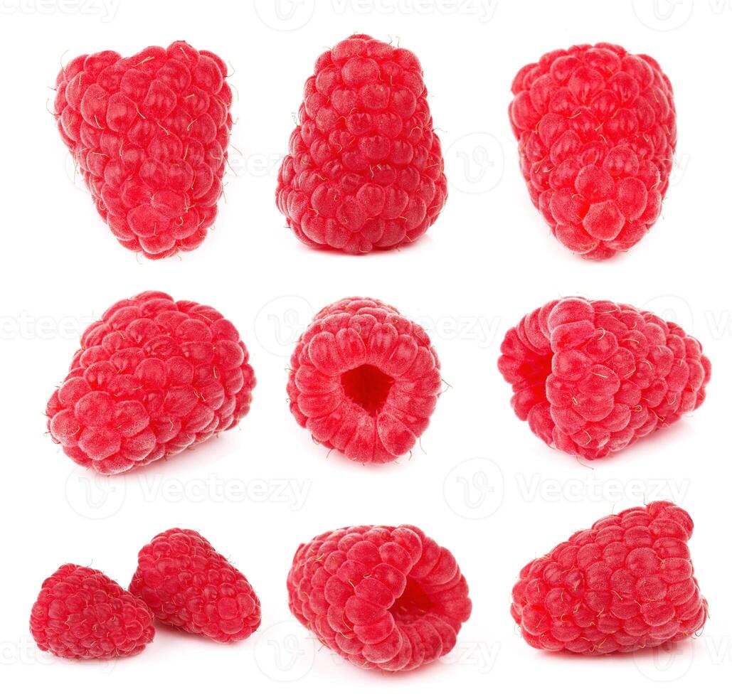 Raspberry on white photo
