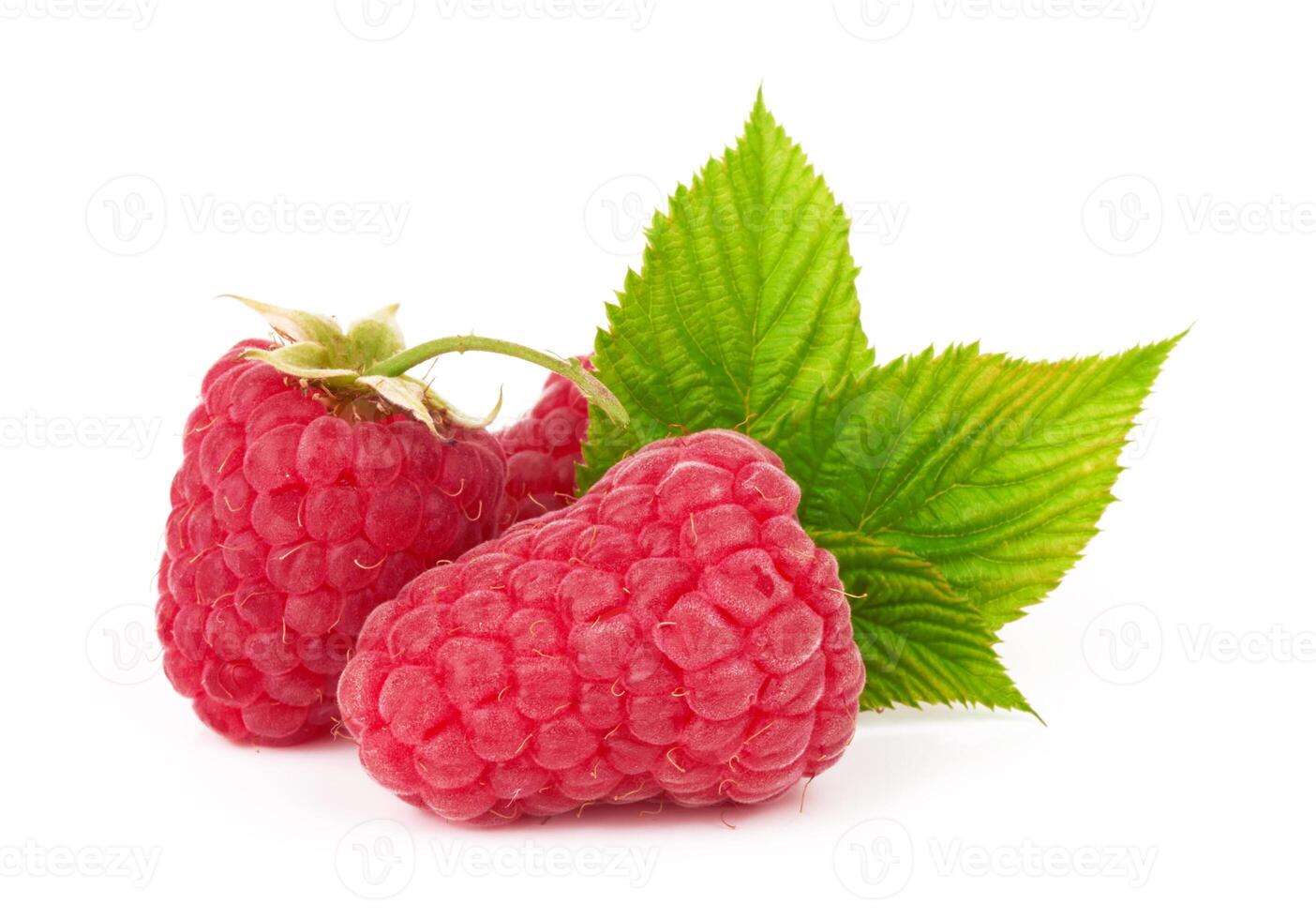 Raspberry on white photo