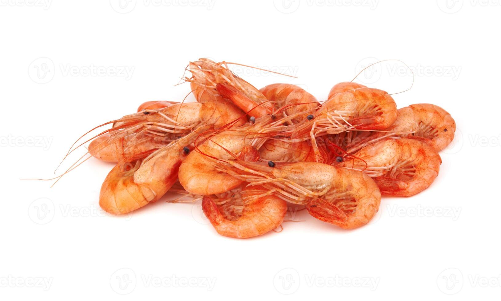 shrimp on white photo