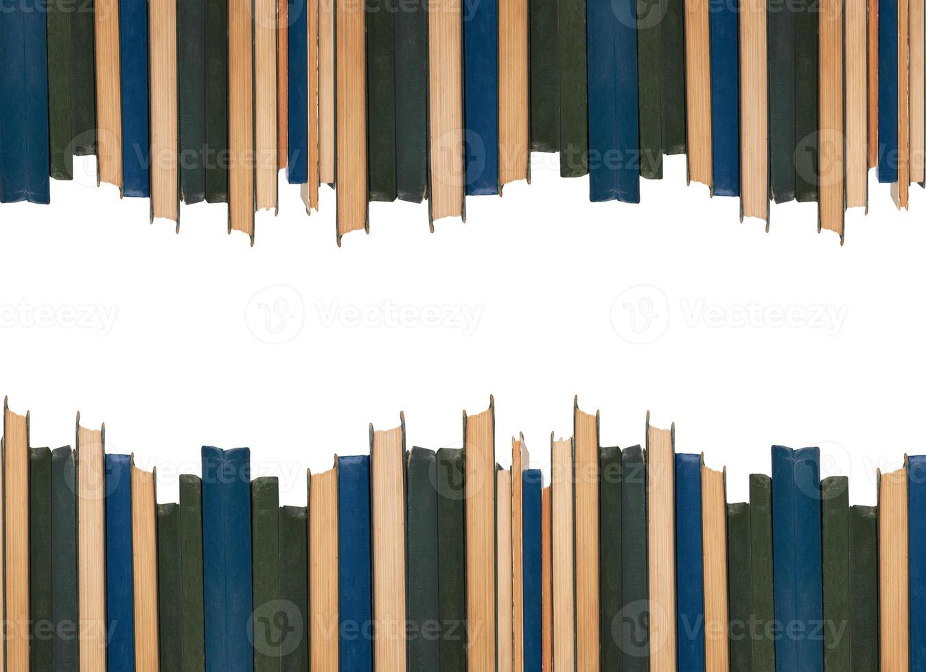 books in a row photo