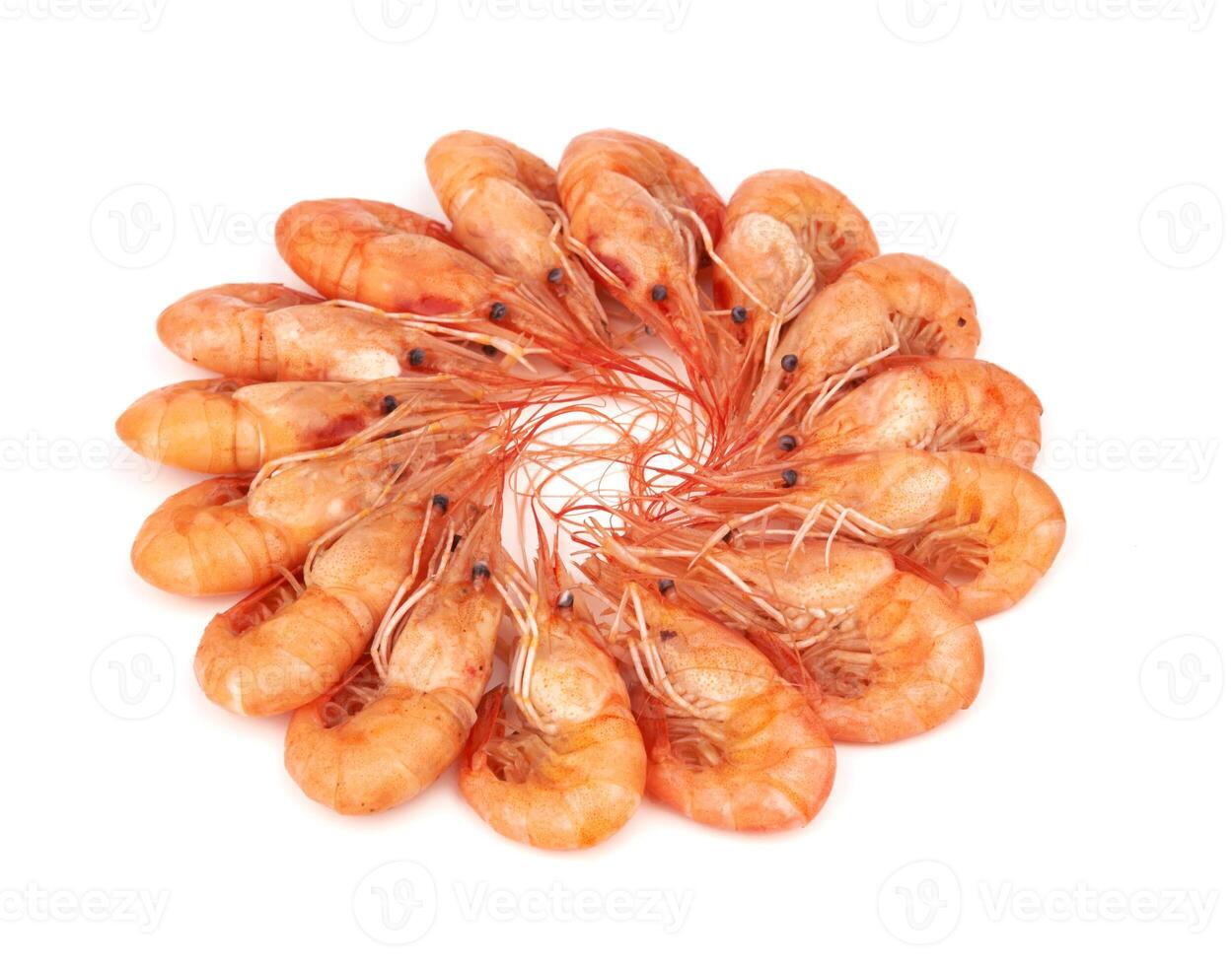 Boiled shrimp isolated photo
