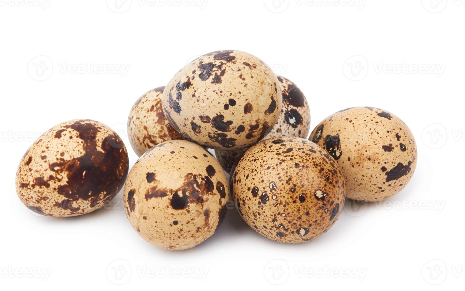 quail eggs isolated photo
