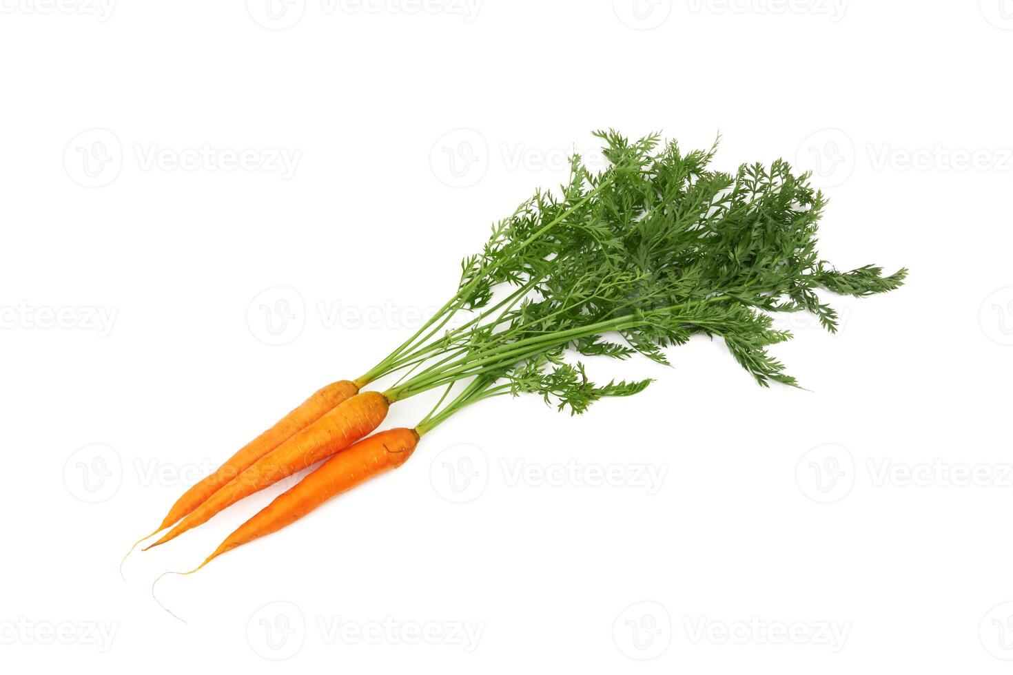 carrot with leaves photo