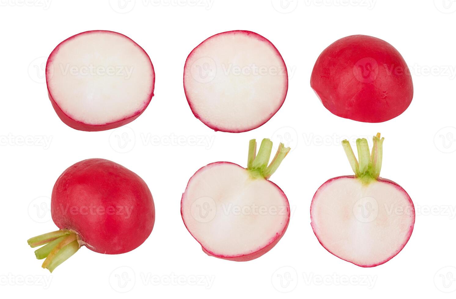 Small garden radish photo
