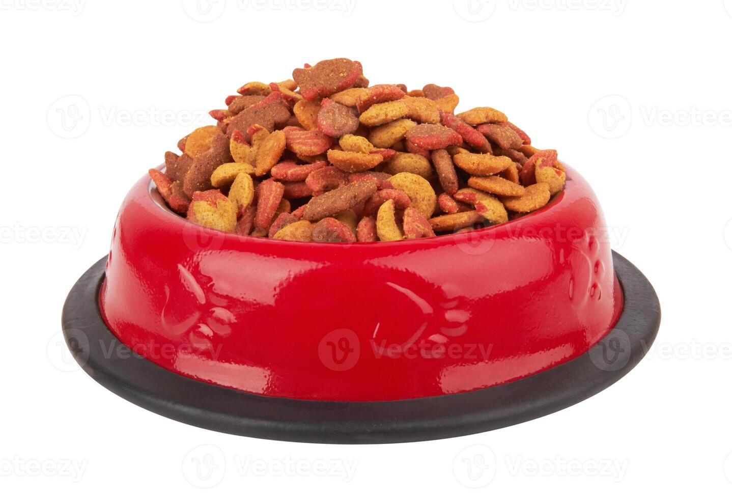 Pet food in bowl. photo