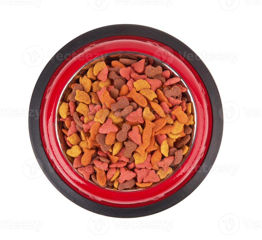Pet food in bowl. photo