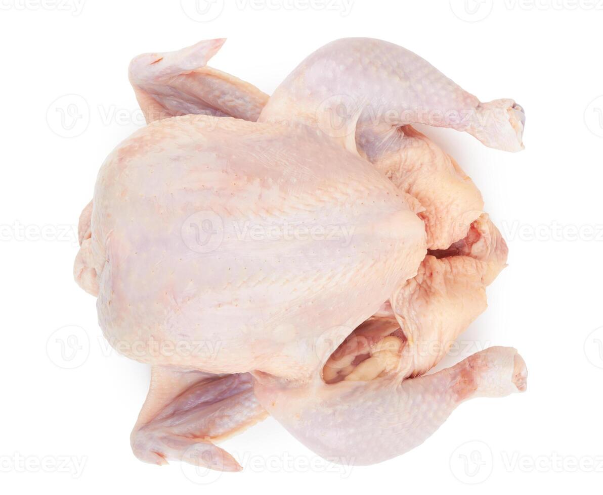 Raw fresh chicken photo