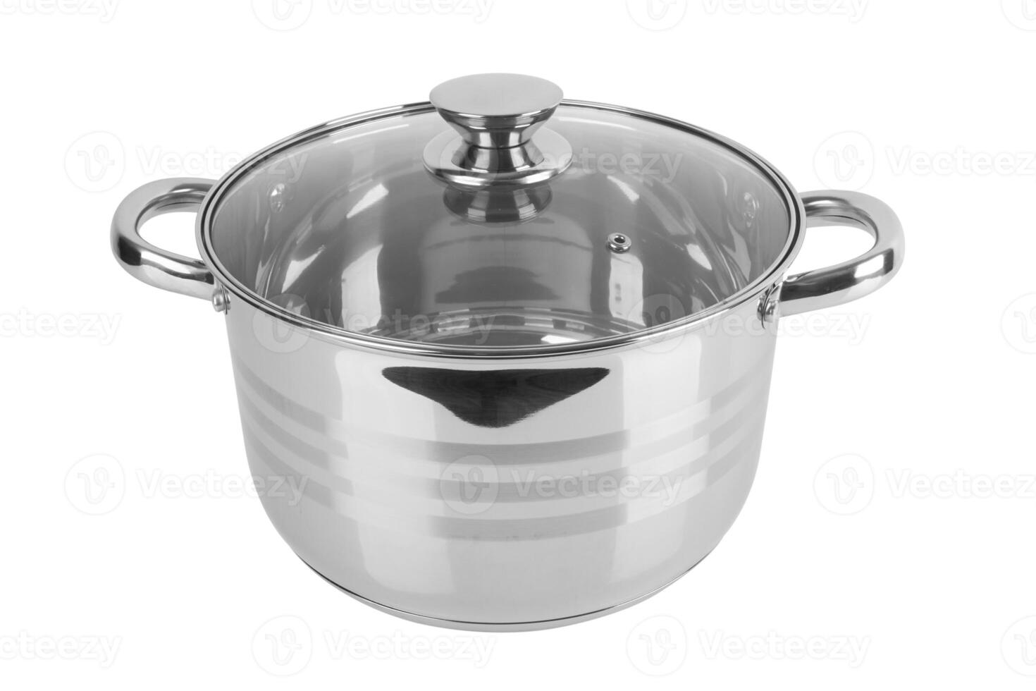 pan with lid photo
