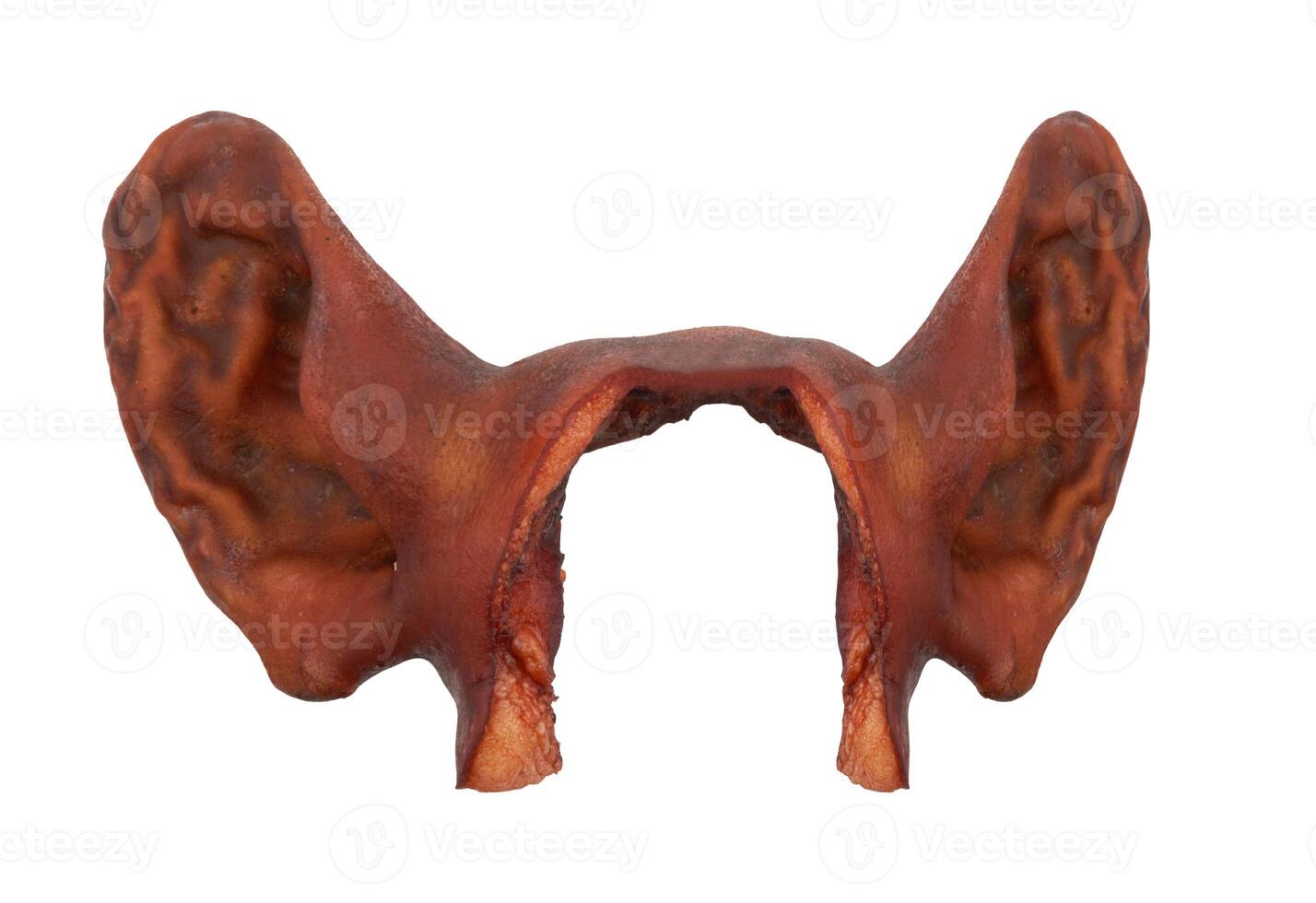 Smoked pork ears photo