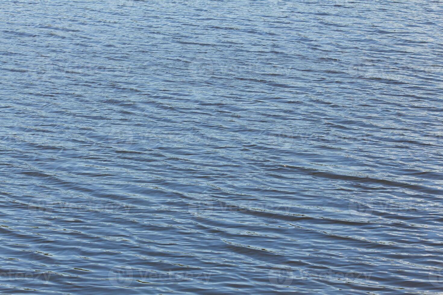ripple water surface photo