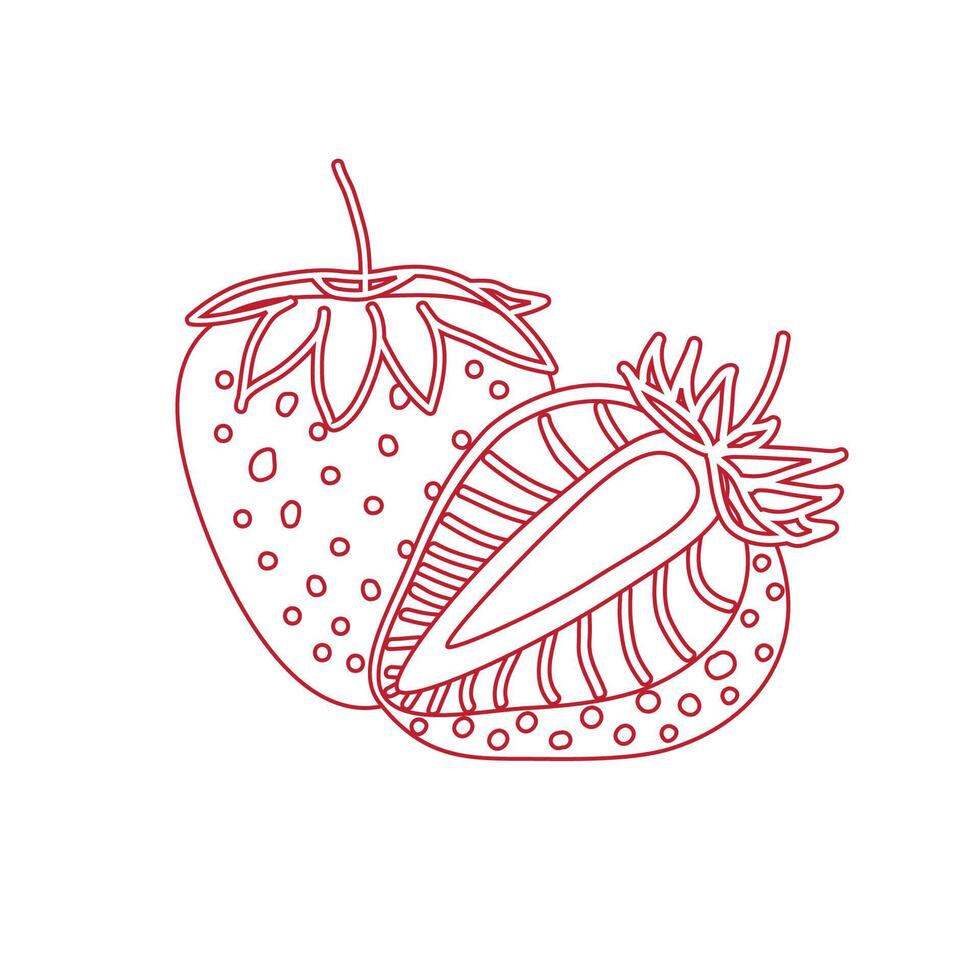 Strawberry drawing, hand drawn botanical illustration set. Collection design isolated elements for coloring book page, background, packaging, card, story, post, social media, typography, party, poster vector