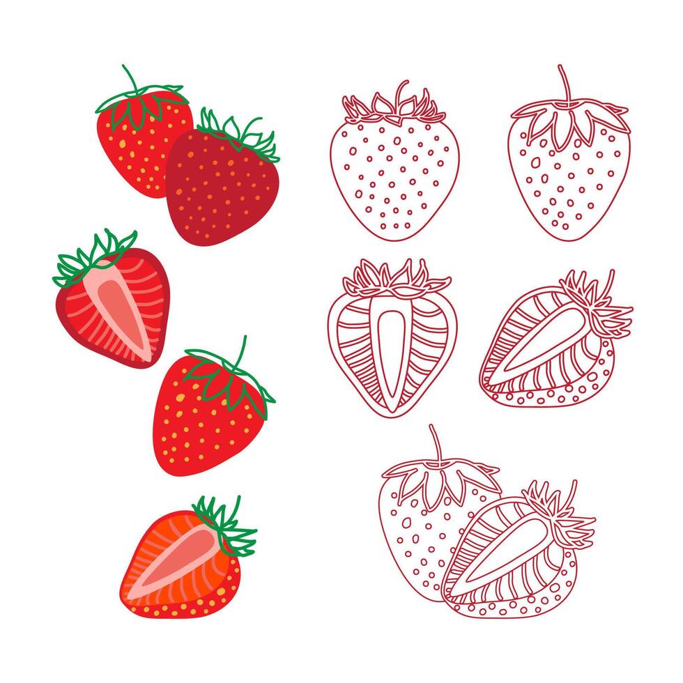 Strawberry drawing, hand drawn botanical illustration set. Collection design isolated elements for coloring book page, background, packaging, card, story, post, social media, typography, party, poster vector