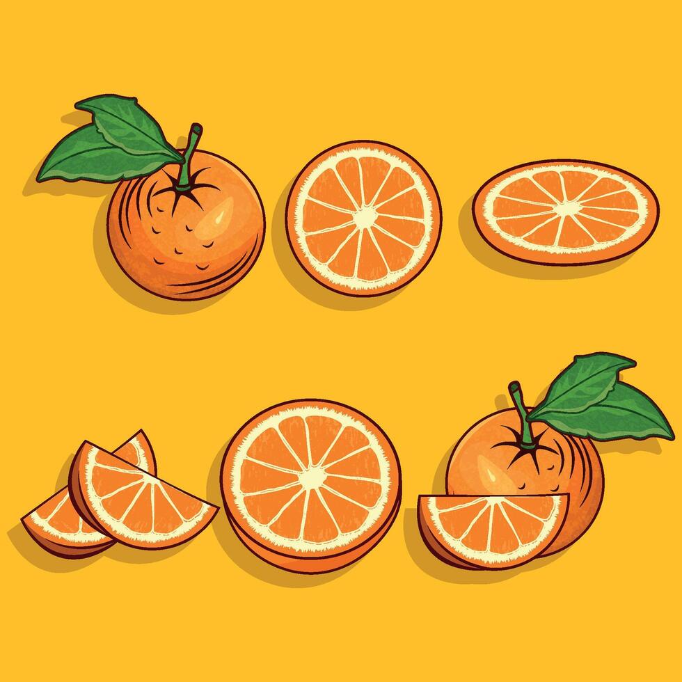 Beautiful concept part of fruits orange vector