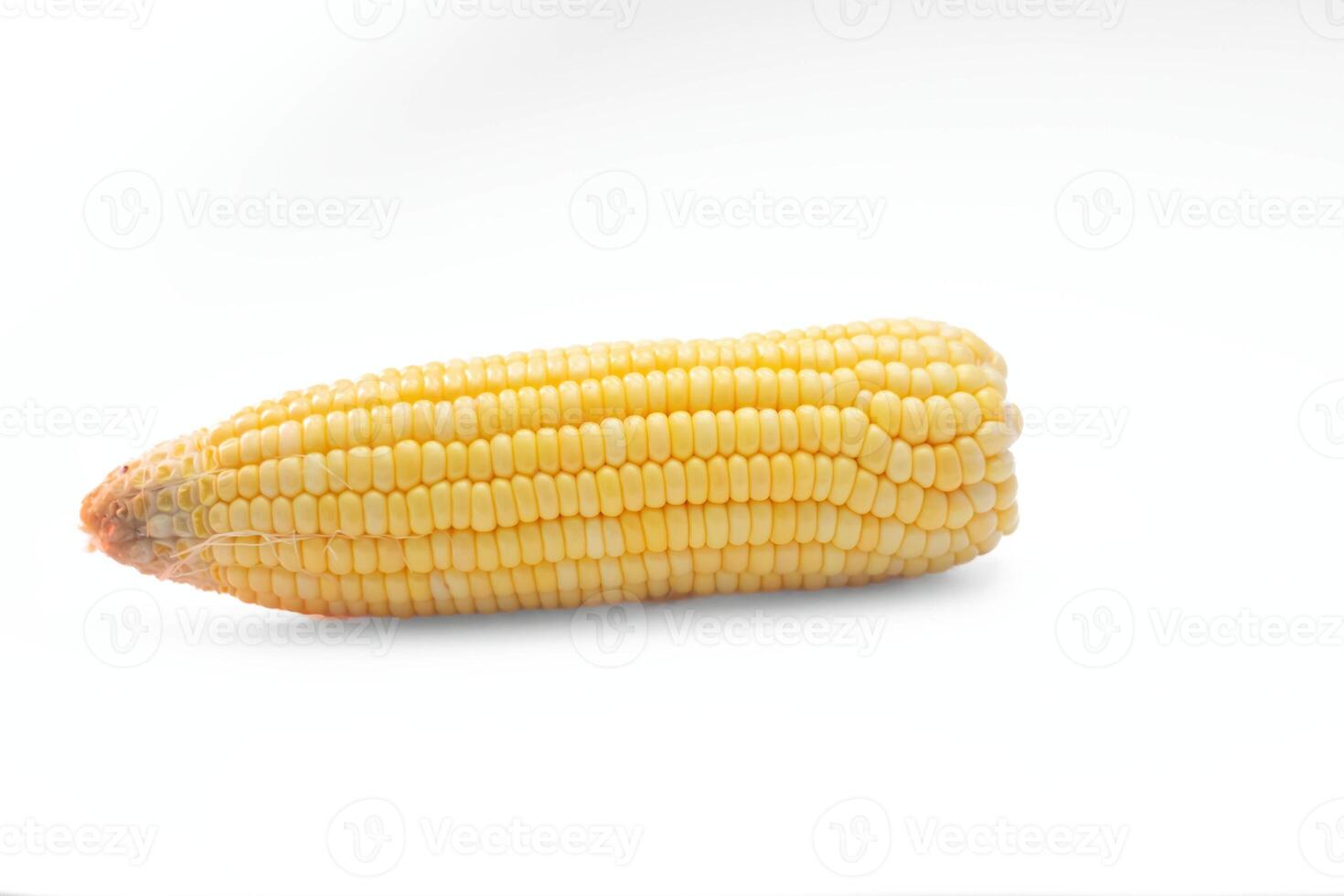 Raw corn cobs isolated on white background photo